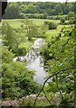 The River Wey