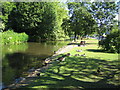 River Gade in Hemel Hempstead