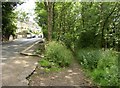 Top of Coal Pit Lane, Salford, Almondbury