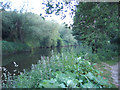 River Medway from the Medway Valley Walk, Maidstone, Kent