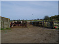 SE5450 : Cattle pens near Rufforth by John Armitstead