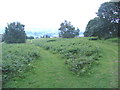 View Southeast from Oaker Coppice