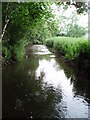 The River Sheppey