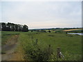 Footpath south from Fort Henry, Exton Park