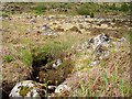 NM8860 : Granite boulders near Strontian by Richard Webb
