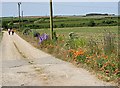 Field with Cultivated Border