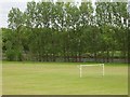 Playing fields, Alloa