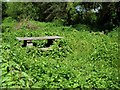 Picnic area, Berengrave nature reserve