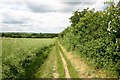 Bury Lane, near Lidgate