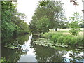 River Colne, Colchester