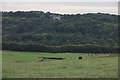 Fields between West Skelder Farm and Rock Head Farm