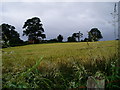 Farmland near Painter