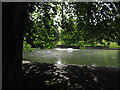 Duck pond in St. George Park