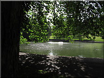 ST6273 : Duck pond in St. George Park by Duncan Gammon