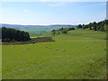 Looking South from Corrie of Morlich