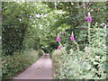 Lane to Gew Farm