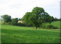 Farmland by the River Weaver