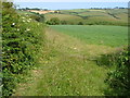 Across Strawberry Valley from near Fast Rabbit Farm