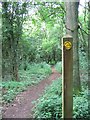 Footpath through woodland near Shortwood Lodge