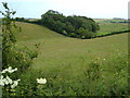 View from Blatchmore Lane