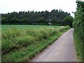 Footpath crosses road