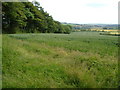 Field near Wadstray House