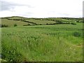 Drumeagle Townland