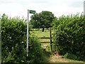 Footpath in Pytchley