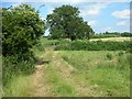 Footpath at the Bottom End of Pytchley