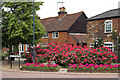 TL1012 : High St Cottages and Flowers by Richard Thomas