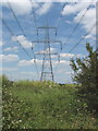 Pylon near Sandford Brake