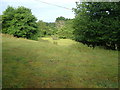 Fields near Shobrooke Mill