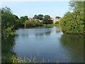 Marden Quarry Nature Reserve