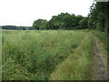 Footpath through fields near Jacksdale, Nottinghamshire.