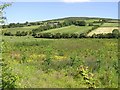 Dergalt Townland