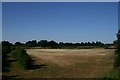 The Millennium Cemetery, Ipswich