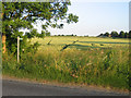 Footpath through winter wheat, Shillington, Beds