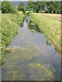 Cheddar Yeo from Hythe Bridge