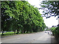 Luton: Old Bedford Road