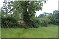 Rushton - stile by the ash tree