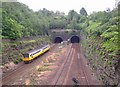 Tunnel portals, Springwood, Marsh (Huddersfield)