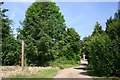 Footpath at Brook Green