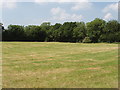 Mown field, hedge and trees.