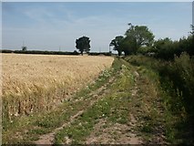 TG4115 : Track, near Thurne by Katy Walters