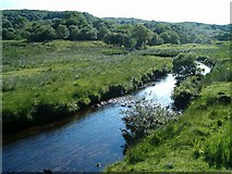NM9328 : River Lonan by Patrick Mackie