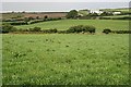 Fields east of Rame Common