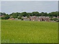 Field and housing at Middle Winterslow