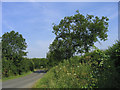 Gun Lane - Sherington