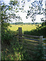 Great Ouse meadows - Olney