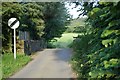 Bridge at Cotford